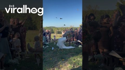Perfect Sendoff For a Pilot's Wedding || ViralHog