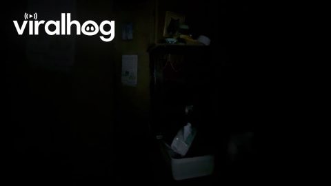 Earthquake in Cebu, Philippines || ViralHog