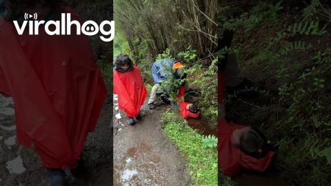 Dad Decides Who to Save || ViralHog