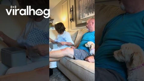 Nothing That Size Could Be This Overwhelming || ViralHog