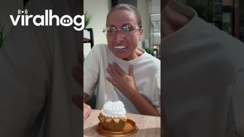 Cream Pastry Leaves Teeth-Shaped Imprint on Lip || ViralHog