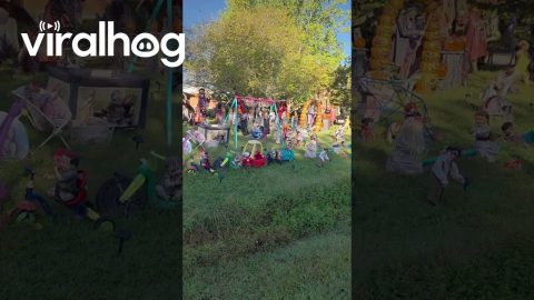 The Scariest Halloween Yard Display || ViralHog