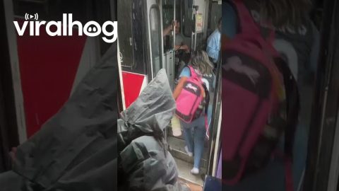 Bus Rescues Passengers Stranded By Torrential Rain || ViralHog