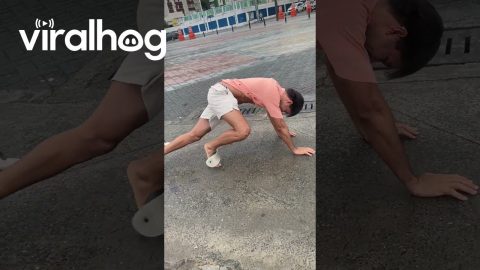 Defeated by the Wind || ViralHog
