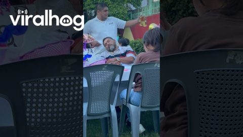 Man Falls Asleep in the Middle of a Party || ViralHog