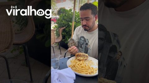 Sharing Fries With Bold Squirrel || ViralHog