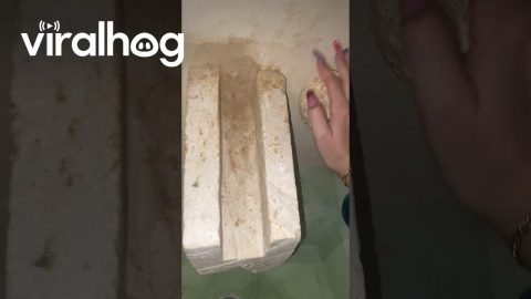 Flintstones Sink || ViralHog