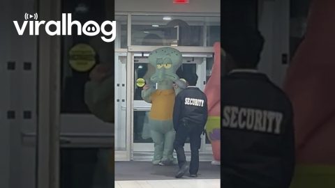 Security Guards Escort Spongebob Characters Out Of Oshawa Centre || ViralHog