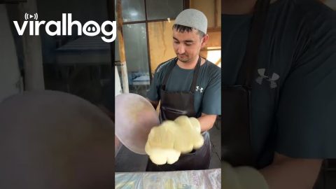 1-Minute Amazing Bread || ViralHog