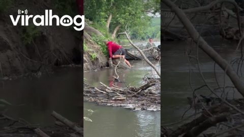 Saving a Baby Deer Trapped in a River || ViralHog