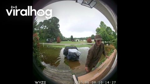 UPS Driver Delivers Heavy Package Through Flooded Yard || ViralHog