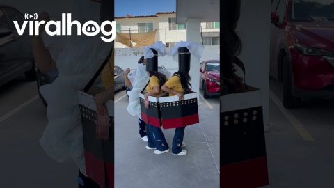 Group's Titanic Halloween Costume || ViralHog