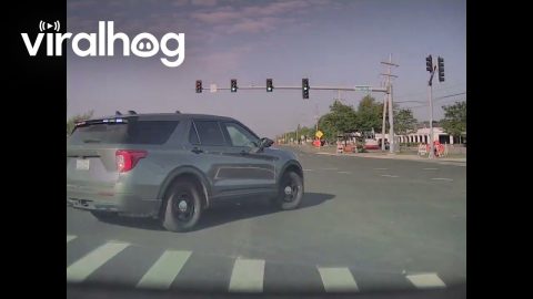 Car Runs Red Light In Front Of Unmarked Police SUV || ViralHog