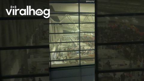 Long Lines at Houston IAH Airport || ViralHog