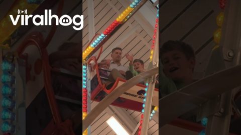 Dad Is a Little Scared of Heights || ViralHog