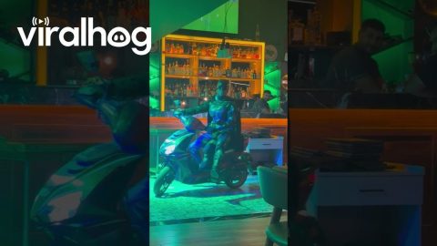 Transformer Dances While Batman Drives a Moped Inside a Bar || ViralHog