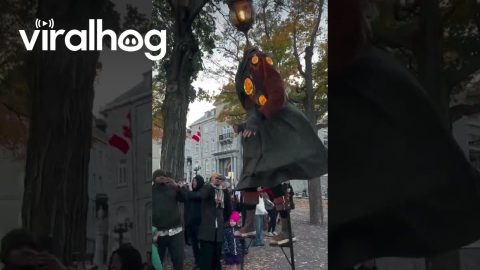 Walking Street Lamps || ViralHog