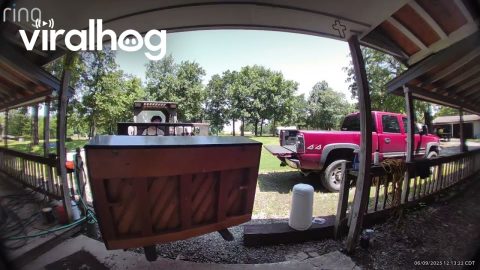 Dramatic New Piano Falls Off Forklift || ViralHog