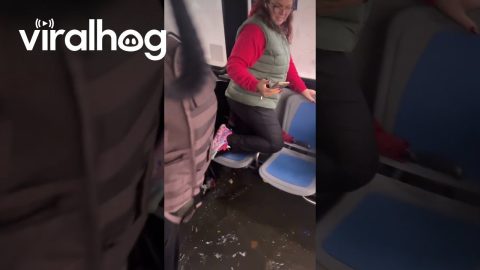 NYC Bus Drives Through Flooded Street || ViralHog