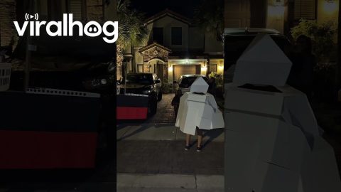 Family Wins Halloween With Incredible Titanic Group Costume || ViralHog