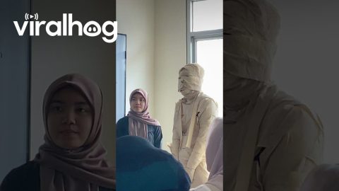 Creative Egypt Presentation For Communications Class || ViralHog