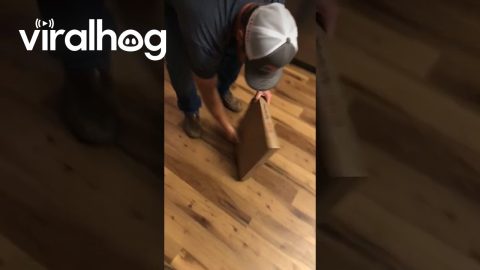 Casey’s Pizza Flop || ViralHog