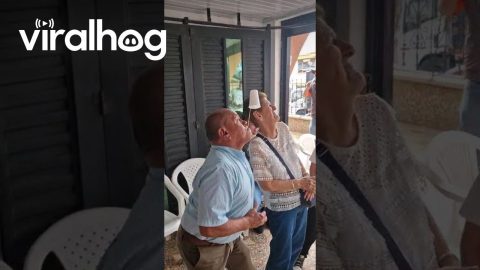 Grandpa Trying Her Best at a Cup Game || ViralHog