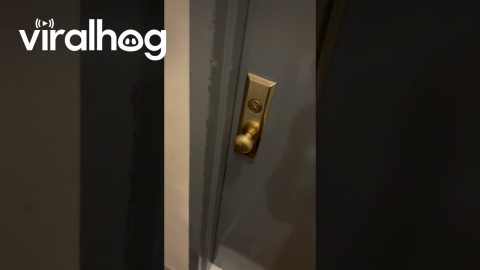When Your Sister Lives in the Apartment Below You || ViralHog