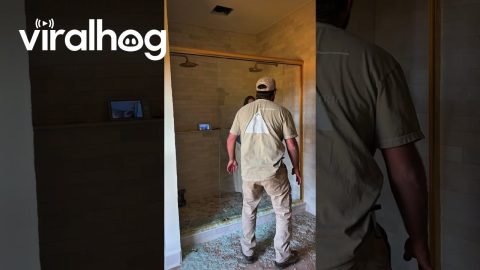 Glass Shower Door Shatters During Installation || ViralHog