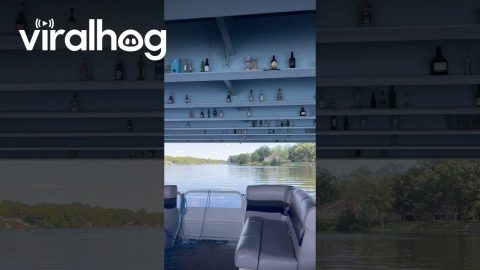 Bottles Under a Bridge || ViralHog