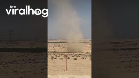 Sand Whirlwind in Negev Desert, Israel || ViralHog