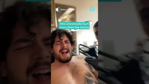 Tattoo Has Nothing on Dogs Being Out || ViralHog Shorts