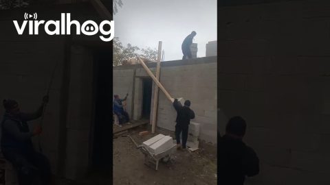 Work Smarter Not Harder || ViralHog