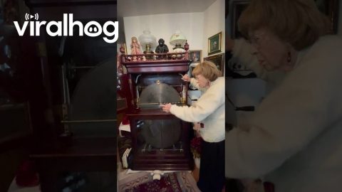 27-Inch Regina Music Box Plays Melody || ViralHog