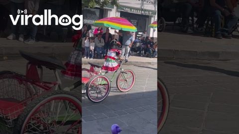 Dog in a Dress Rides a Bike || ViralHog