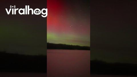 Aurora Made the Ground Turn Red || ViralHog