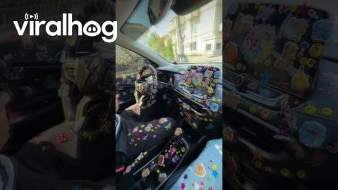 Girl Puts Stickers Everywhere || ViralHog