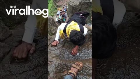 Monkey Steals From a Climber's Backpack || ViralHog