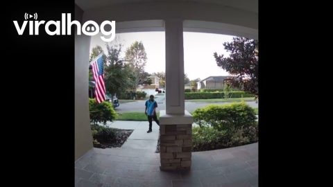 Delivery Driver Salutes American Flag || ViralHog