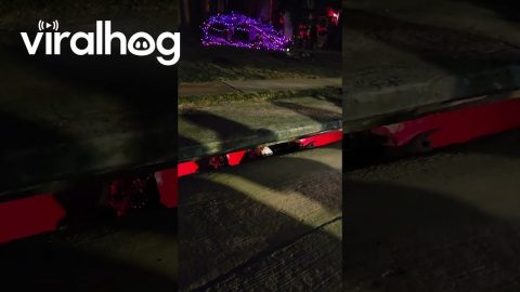 Pennywise Handing Out Candy From the Sewer || ViralHog
