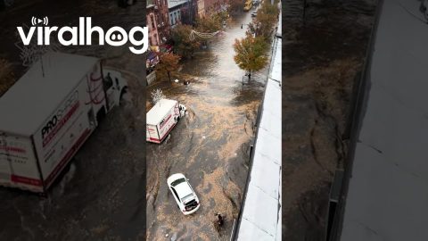 Bed Stuy Flooding in NYC || ViralHog