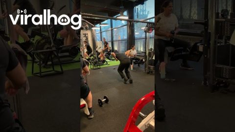 The Spider Man Gym Lift || ViralHog