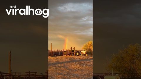 Rainbow Over a Tractor || ViralHog