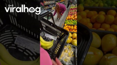 Tumbling Fruit Startles Little Dog || ViralHog