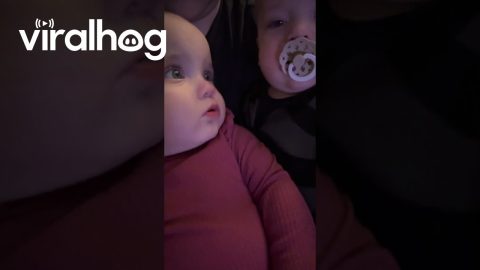 Twins Trade Pacifiers || ViralHog