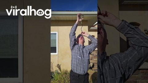 Brad Byers Swallowing a Giant Corkscrew || ViralHog