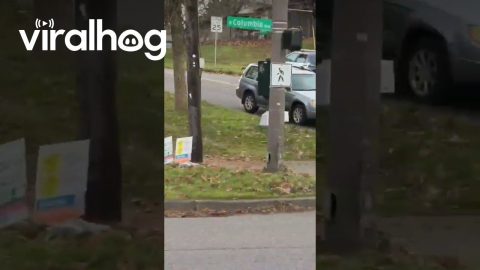 Vehicle Gets Stuck on a Power Line || ViralHog