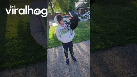 Kid Has Sweet Venom Costume || ViralHog