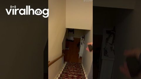 Boyfriend Spooked by "Quaker Costume" || ViralHog