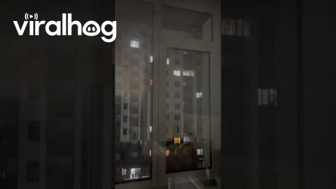 Microwave Activates Motion Sensors Across The Street || ViralHog